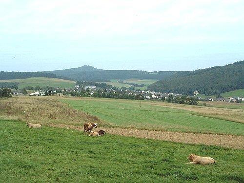 Fliederhof Ferienwohnungen Herresbach Habitación foto