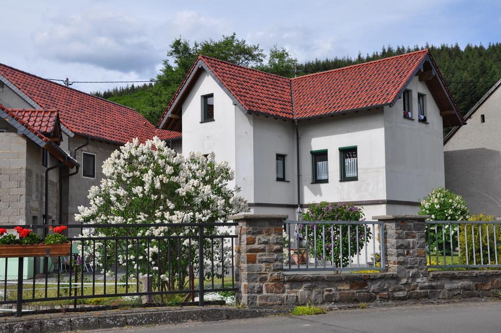 Fliederhof Ferienwohnungen Herresbach Habitación foto